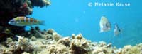 aquarium-cabo-de-palos